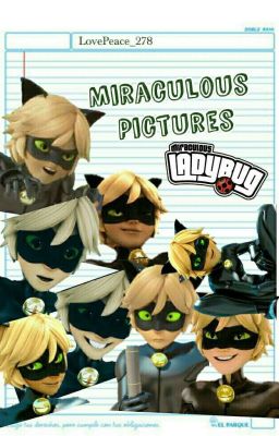 Imagenes De Miraculous Ladybug y Chat Noir