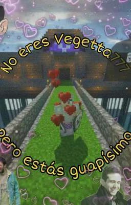 Imágenes de Vegetta777