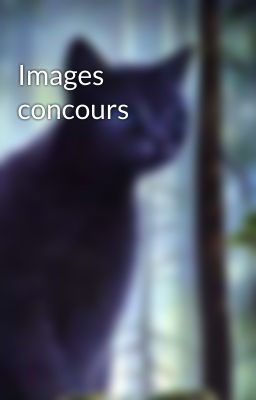 Images concours