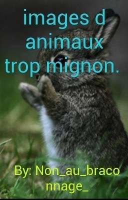 Images d animaux trop mignon. 😍