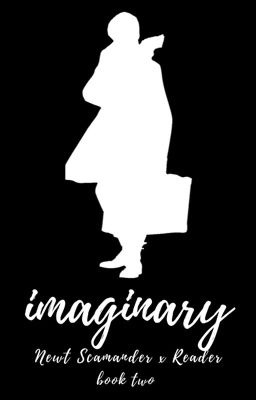 Imaginary || Newt Scamander x Reader