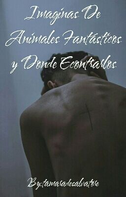 ¤Imaginas, Preferences de Animales Fantásticos Y Donde Encontrarlos¤