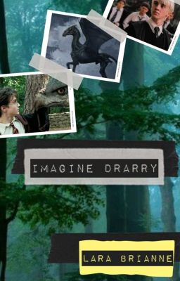 Imagine Drarry