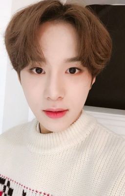 [Imagine Jungwoo] Những mảnh tình con