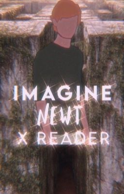 Imagine Newt x Reader 