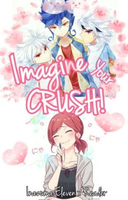 Imagine your CRUSH! (Inazuma Eleven all series x Reader)