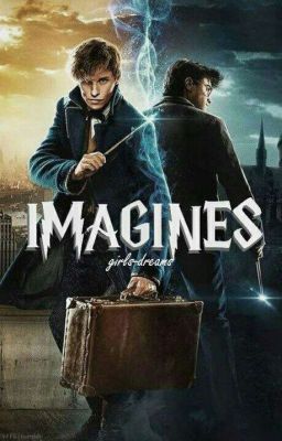 [Imagines] Harry Potter & Les Animaux Fantastiques