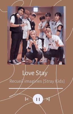 Imagines Stray Kids (Fini)