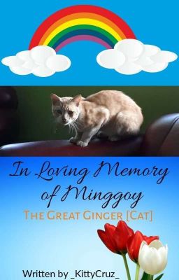 In Loving Memory of Minggoy: The Great Ginger [Cat]