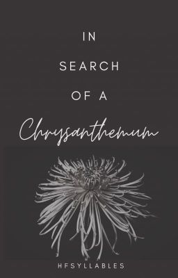 In Search Of A Chrysanthemum