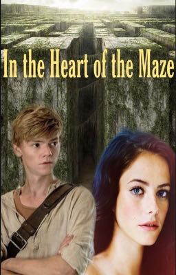 In the Heart of the Maze