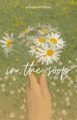 In The Soop | SoonHoon oneshot