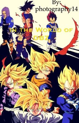 In the World of DBZ 