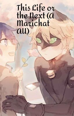 In this life or the next (A Marichat AU)