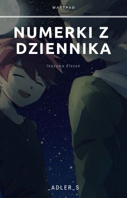 Inazuma Eleven: Numerki z dziennika