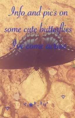 Info and Pic's on some cute butterflies i've come across