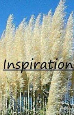 INSPIRATIONS!