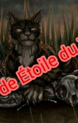 Insta d'Étoile du Tigre