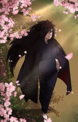 Insta Madara 