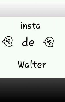 insta se walter