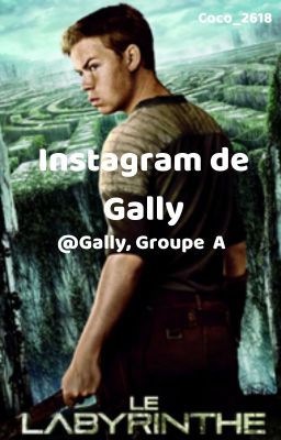 Instagram de Gally