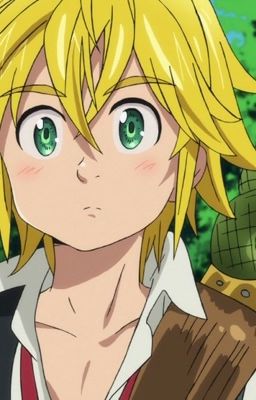 Instead of her (Meliodas X Reader)