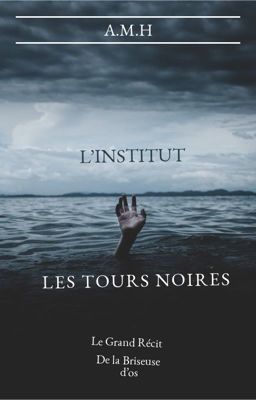 INSTITUT- LES TOURS NOIRES 