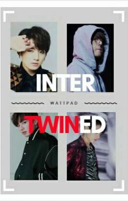 interTWINed [twin!jungkook] ]jikook/kookmin[