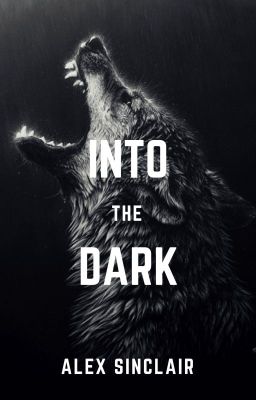 Into the Dark(ON HOLD)