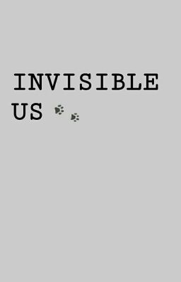 Invisible Us