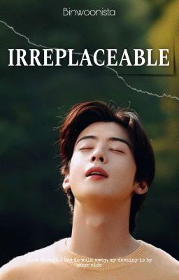 Irreplaceable |♡| Binwoo