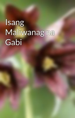 Isang Maliwanag na Gabi