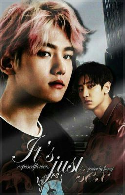 It's just sex | ChanBaek