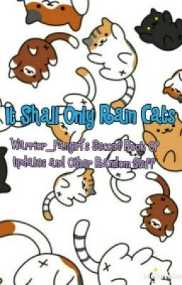 It Shall Only Rain Cats: My Second Update And Randomness Book