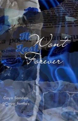 It won't last forever (The Lucy universe) (Dutch)