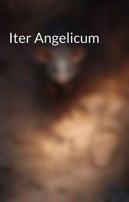 Iter Angelicum