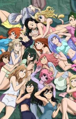 Izuku's Pro Hero Harem.