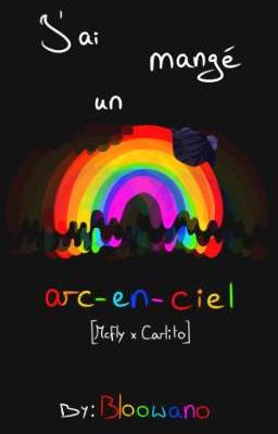 J'ai mangé un arc-en-ciel [McFly et Carlito]