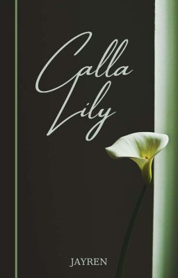 [Jaeren/Jayren|Tổng Hợp Oneshot] Calla Lily