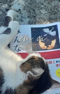 | jaysonlei x reader | em ơi.