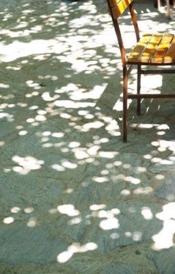 |JayWon| Cây táo nhà thằng Sim