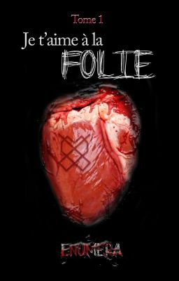 Je t'aime à la folie Tome 1 (Roman auto-publié)