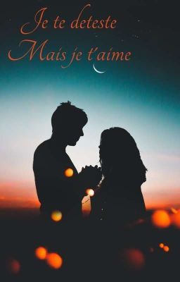 Je Te Deteste Mais Je T'aime 