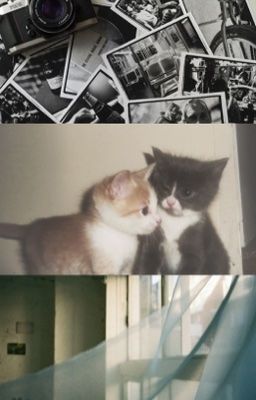 [Jeonglee] Vì là nơi hai ta từng đến 