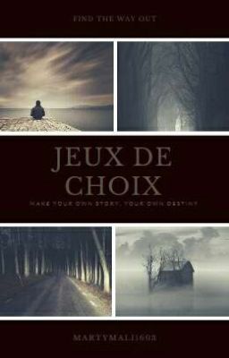 Jeu de choix (200-FIN)