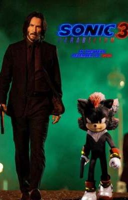 John wick & Shadow the hedgehog 