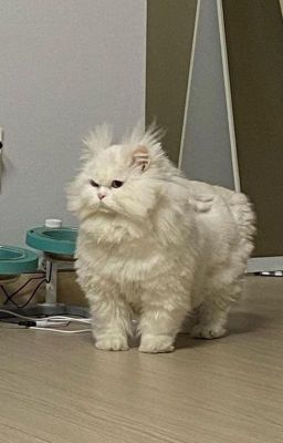 [JoongDunk] Góc nhỏ của JD 🔞🔞🔞