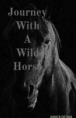 Journey With A Wild Horse