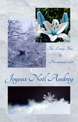 Joyeux Noël Audrey!