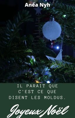 Joyeux Noël (il paraît que c'est ce que disent les moldus)